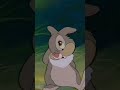 Here S A Piece Of Advice By Thumper Thumper Bambi Goodvibes 