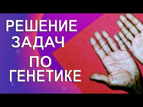 Определение частоты доминантных гомозигот в популяции | Наследование алькаптонурии у человека