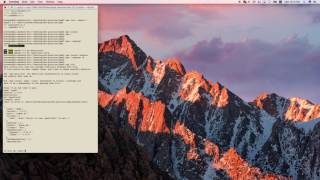 Must know commands when working with npm
