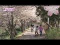 海老川ジョギングロード