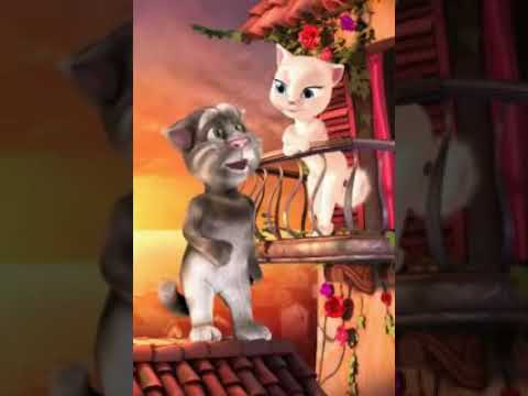 اروع موال قط 