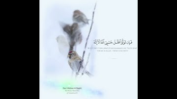 "لقد جاءكم رسول من أنفسكم"ﷺ..القارئ/مشارى البغلى..صلوا عليه وسلموا تسليما🌻تدبّر🌻حالات واتس