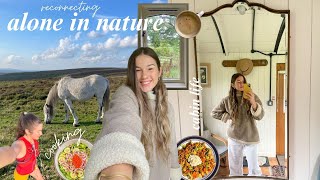 finding what I want in life | alone in the country side ( home cooked vegan meals ) by Julia Ayers 11,449 views 6 months ago 17 minutes