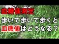 【血糖値】糖尿病ですが思い切り歩くと血糖値どうなるか調べてみます