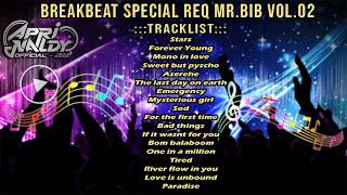 NONSTOP BREAKBEAT SPECIAL REQ MR.BIB VOL.02