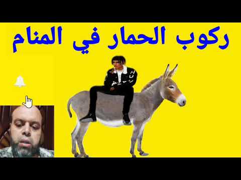 تفسير حلم ركوب الحمار في المنام لابن سيرين
