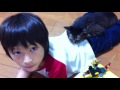 息子の命を救おうとした猫