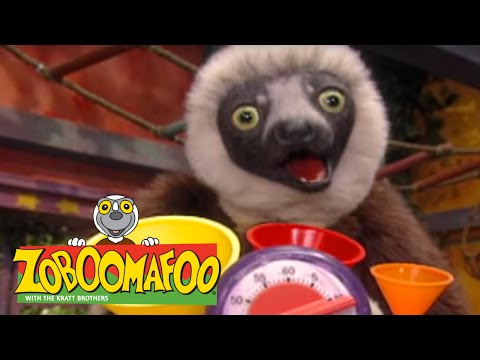 Zoboomafoo 207 - Crocodilian (Full Episode)