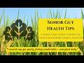 Senior Gut Health Tips | 5 Simple Daily Habits for Better Digestion and More Energy After 60