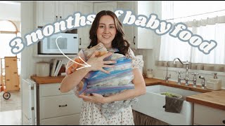 attempting to make all my baby's food from scratch // Recipes + How To by Loeppkys Life 57,740 views 2 months ago 21 minutes