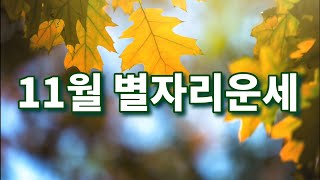 11월 별자리운세 (전갈자리신월/수성역행/물고기자리 토성순행/명왕성 물병자리입궁 19년의 여정시작)