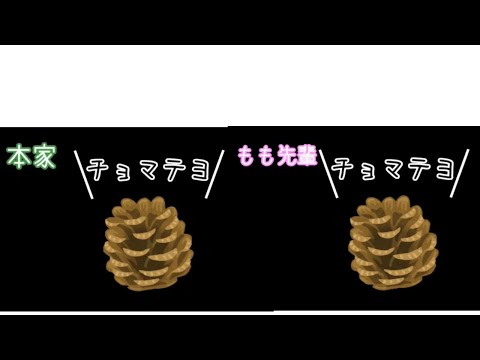 ゆるキャン△SEASON2の1～3話松ぼっくり！ もも先輩の声マネは似てるのか？！本家と比較してみた！！