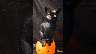At Home Halloween 2026 Black Cat blow mold