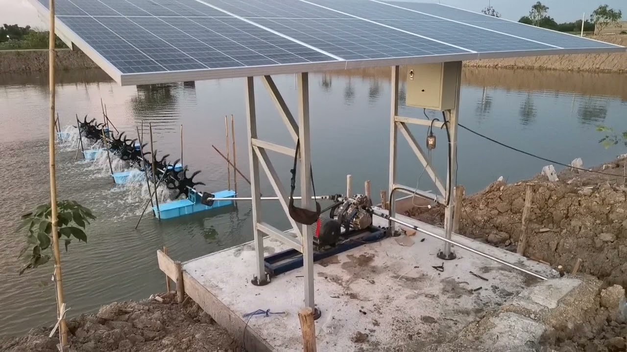 ลดค่าไฟ​ บ่อปลา​ บ่อกุ้ง​ เพิ่ม ออกซิเจนในน้ำ ใช้งานได้ทั้งกลางวันและกลางคืน