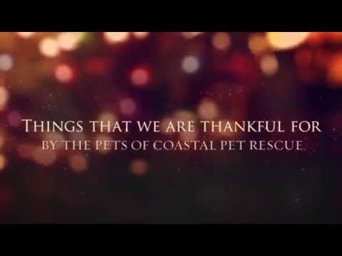 camera iphone 8 plus apk Happy Thanksgiving from Coastal Pet Rescue!