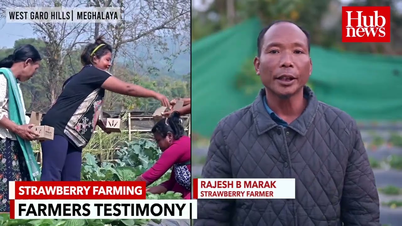 Strawberry-ko ge•na Horticulture Department-oniko cholko ra•bo