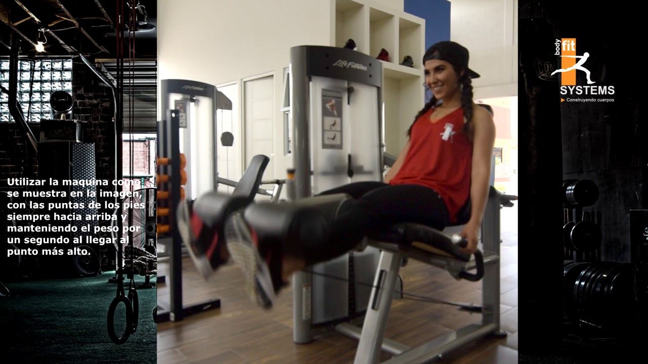 Extensiones en maquina Entrenamiento para mujeres Cuadriceps YouTube