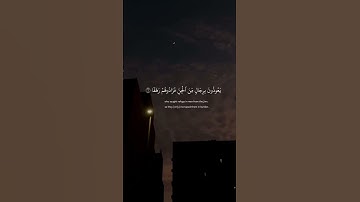 ولن تنال شيئاً من نعيم الدنيا أغلى من القرآن الكريم. ادعو الله أن يجعلك من أهلها🤍
