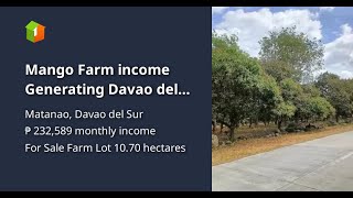 Mango Farm income Generating Davao del sur