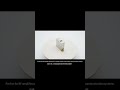 5o.com Coaxial Isolator (1.5-3.0GHz)