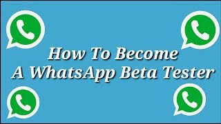 How To Become A WhatsApp Beta Tester screenshot 5