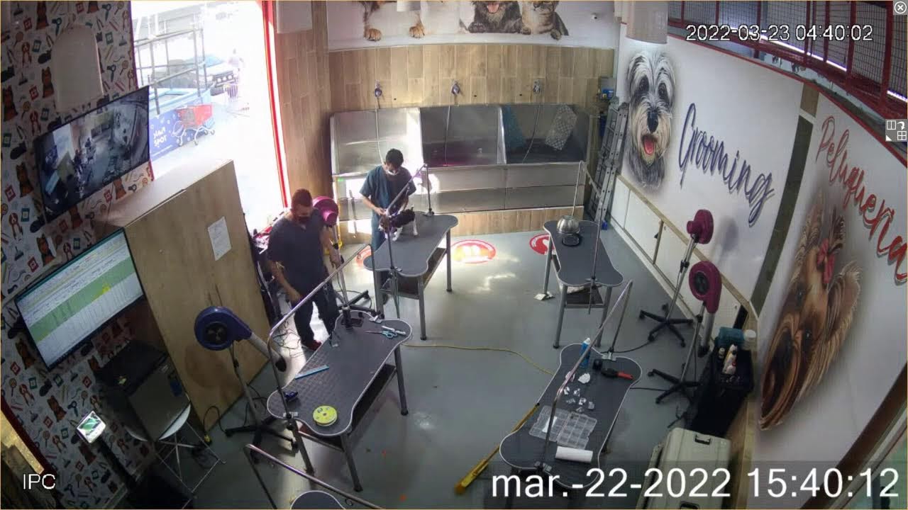 Pet Center Clínica Veterinaria Jockey Plaza YouTube