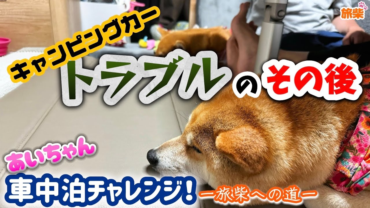 トラブルのその後と道の駅 能勢(くりの郷)from大阪【キャンピングカーで柴犬たちと車中泊】