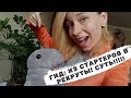 ГИД: ИЗ СТАРТЕРОВ В РЕКРУТЫ - STARCHIKOVA M