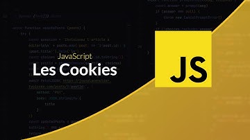 JavaScript côté navigateur : Manipuler les cookies