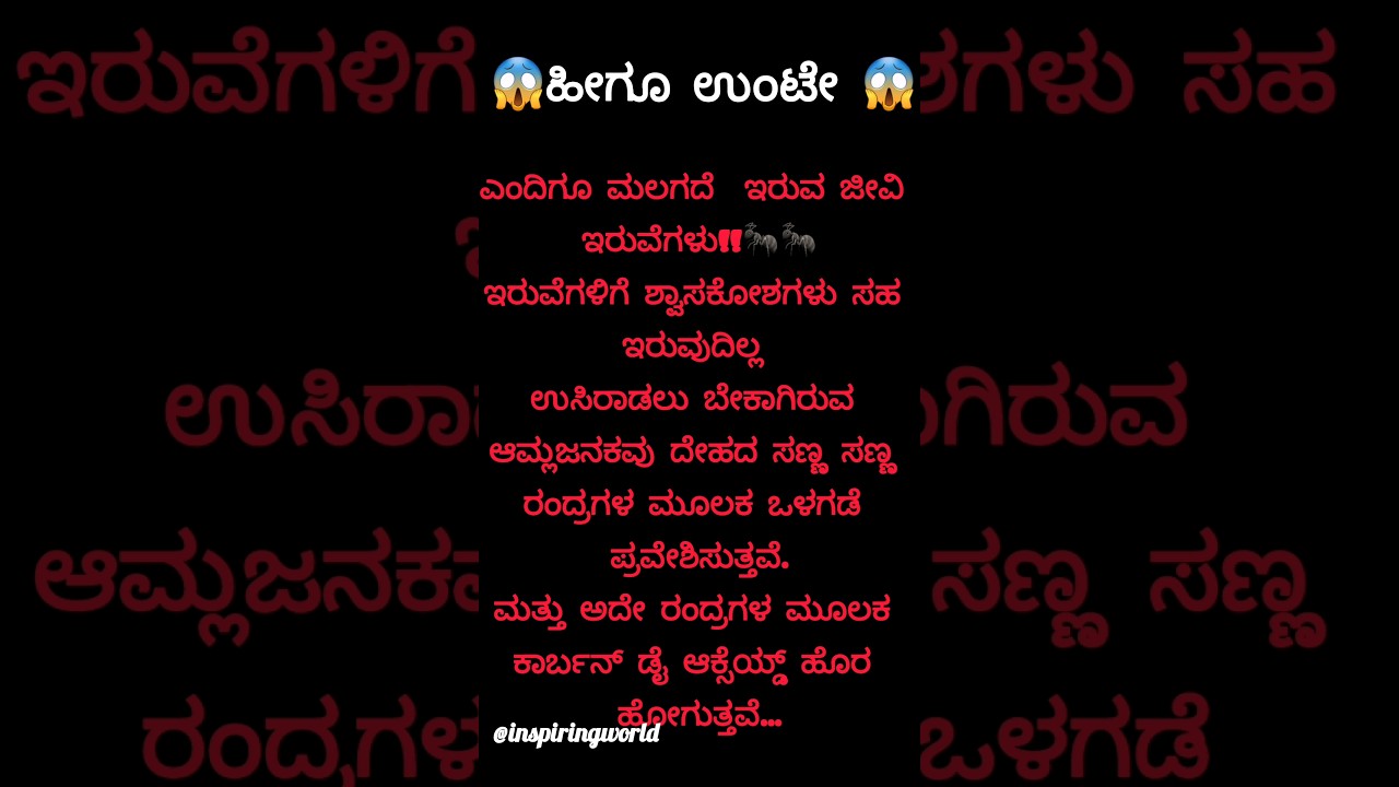 Intresting facts 😱 ನಿಮಗಿದು ಗೊತ್ತೇ??