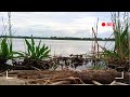 Русская Река-Волга / Гармония с природой. Russian River-Volga / Harmony with nature.