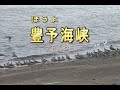 (カラオケ)  豊予海峡 / 大月みやこ