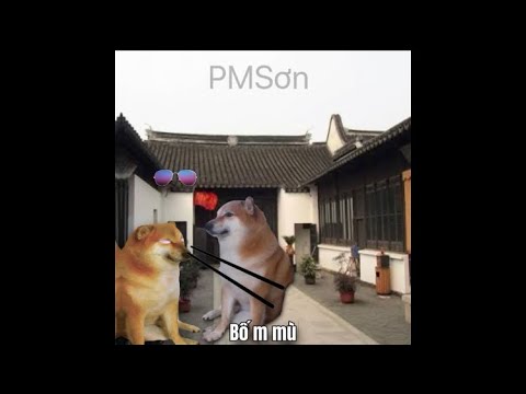 Tại sao ngươi ko tránh |cre:bmq