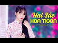 Hai sc hoa tign  kim chi  official mv