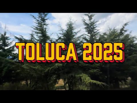 Toluca 2025 Cultural Festival Transform Art.