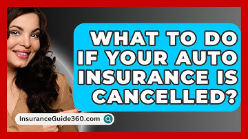 What To Do If Your Auto Insurance Is Cancelled? -  InsuranceGuide360.com