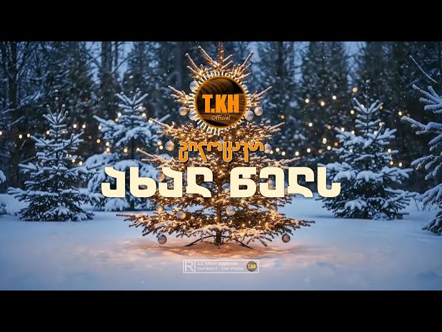 თემო ხვიბლიანი - გილოცავთ ახალ წელს (2026 Cover) / Happy New Year (2026 Cover)