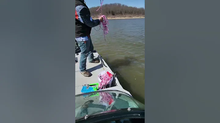 catching shad at Perry Lake Kansas using Humminbir...