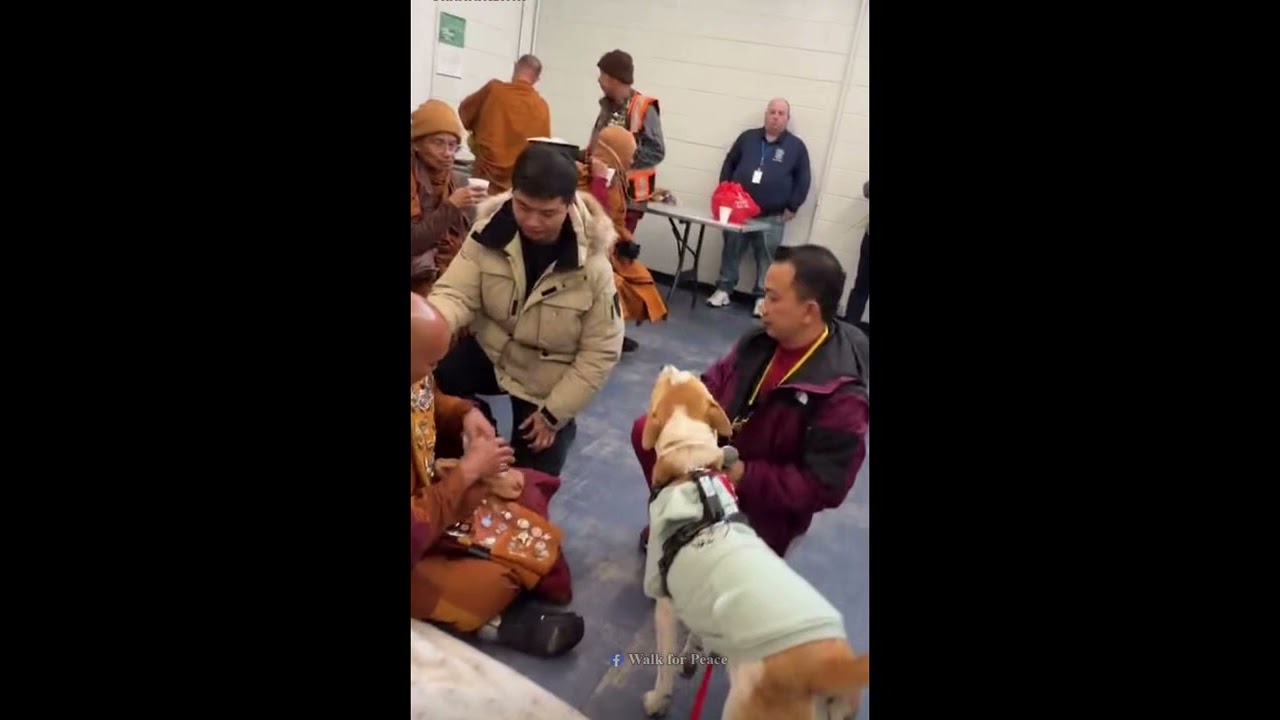 A Heartwarming Reunion | Aloka Meets the Monks Again 🐾💛