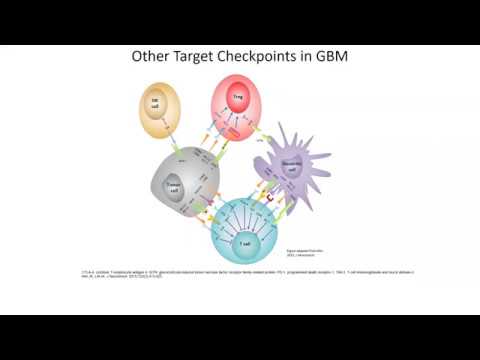 Webinar: Michael Lim, MD - Immunotherapy for Brain Tumors