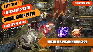 Saunil Camp Elvia: The Ultimate Grinding Spot in Black Desert Online