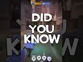 They Do Lots Of Things Deadlock 