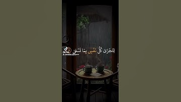 ماتيسر من الذكر الحكيم تلاوة خاشعة مؤثرة وجميله