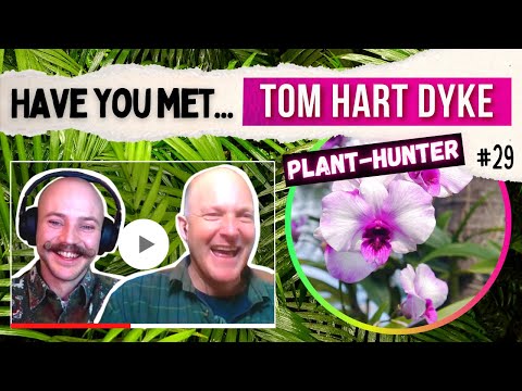 Kidnapped while hunting for rare orchids, and held captive for 9 months: Tom Hart Dyke&rsquo;s story [#29]