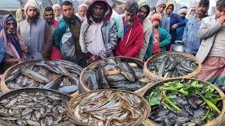এমন সাইজের বিলের শোল শিং মেনি কৈ ভরপুর পাওয়া যাচ্ছে! Village fish market dohar dobli bazar