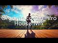 Organic Afro House Mix | 60 Min Earthy Tribal Groove
