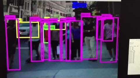 Real-time Object Detection Using a Darknet Convolutional Neural Network