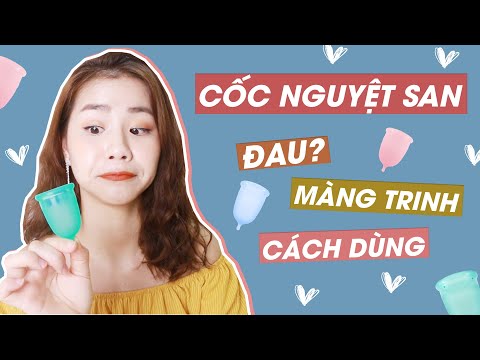 Những Điều Cần Biết Về Cốc Nguyệt San ♡ Quin