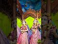 Today Darshan is Mayapur ISKCON 🪷🌸🪷2025/07/13