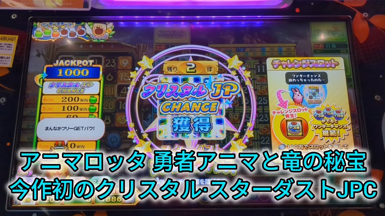 アニマロッタ 勇者アニマと竜の秘宝 今作初のクリスタル·スターダストJPC